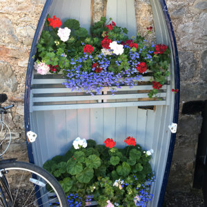 wallpaper boats studio in Topsham