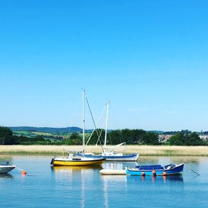 wallpaper boats studio in Topsham